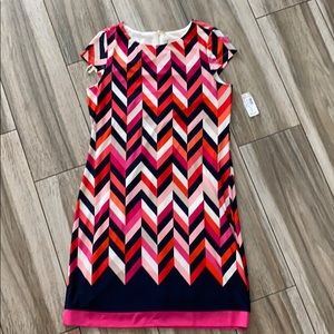 Dress Barn multi-color dress